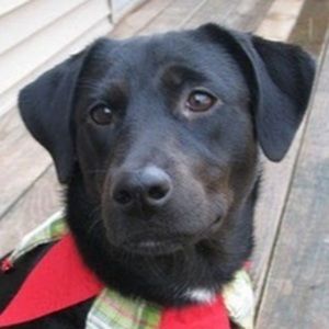 Meet your Posher, Diane